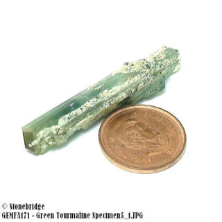 Green Tourmaline Specimen Lot #1 - termination #5    from The Rock Space