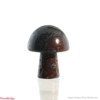 Jasper Dragon Blood Mushroom    from The Rock Space