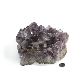 Amethyst Clusters #7 - 6" to 9"    from The Rock Space