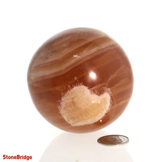 Calcite Honey Sphere - Small #4 - 2 1/2"    from The Rock Space