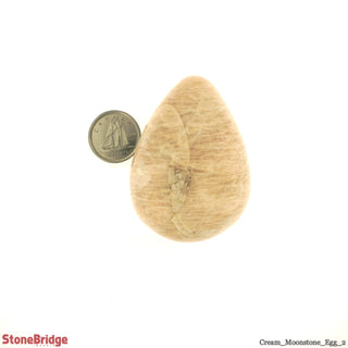Cream Moonstone Egg #2 - 1 1/2" to 2"    from Stonebridge Imports