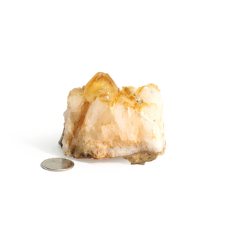 Citrine Cluster #1 - 1" to 2"    from The Rock Space