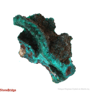 Dioptase Specimen on Matrix U#4 - 2"    from The Rock Space