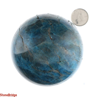 Apatite Blue Sphere - Small #4 - 2 1/2"    from The Rock Space