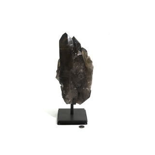 Smoky Quartz Cluster on Iron Stand U#50 - 9 1/4"    from The Rock Space