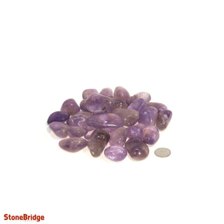 Amethyst Tumbled Stones - B Quality    from The Rock Space