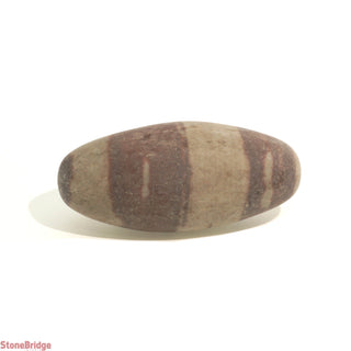 Narmada Shiva Lingam Egg #3    from The Rock Space