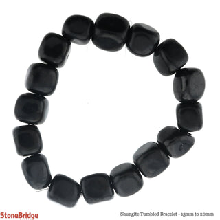 Shungite Tumbled Bracelets    from The Rock Space