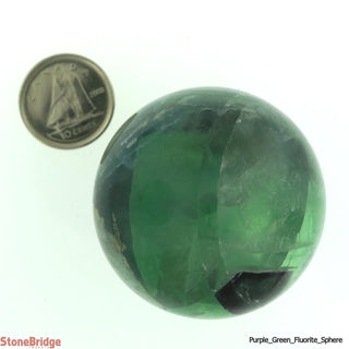 Fluorite Sphere Extra Small #2 - 1 3/4" from The Rock Space