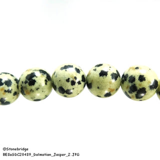 Dalmatian Jasper - Round Strand 15" - 6mm    from The Rock Space