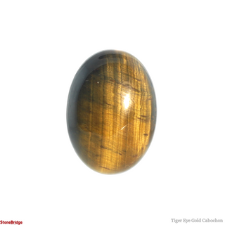 Tiger Eye Gold Cabochon #1    from The Rock Space