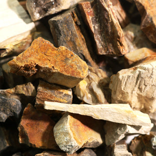 Petrified Wood Chips - Small    from The Rock Space