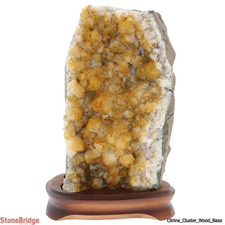 Citrine Cluster On Wood Base Unique #16 - 10" Tall    from The Rock Space