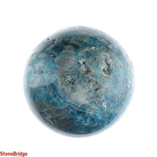 Apatite Blue Sphere - Small #1 - 2 1/4"    from The Rock Space