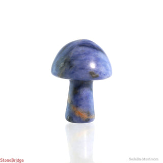 Sodalite Mushroom    from The Rock Space