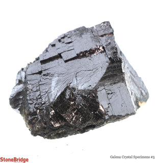 Galena Crystal Specimens #5    from Stonebridge Imports