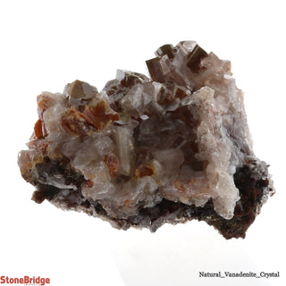 Vanadinite Rough Specimen U#1 - 3"    from The Rock Space