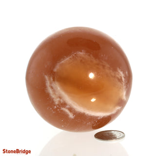 Calcite Honey Sphere - Small #4 - 2 1/2"    from The Rock Space