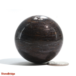 Bronzite Sphere - Extra Small #3 - 2"    from The Rock Space