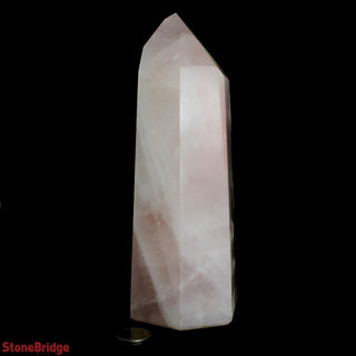 Rose Quartz Generator U#4 - 6 1/2"    from The Rock Space