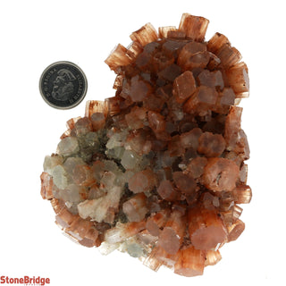 Aragonite Sputnik Cluster #6    from The Rock Space