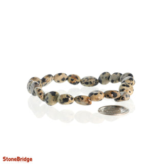 Dalmatian Jasper Tumbled Bracelets from The Rock Space