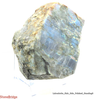 Labradorite Standing Slice Polished U#8 - 6"    from The Rock Space