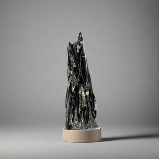 Orthoceras Tower Fossil U#21 - 22" from The Rock Space
