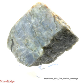 Labradorite Standing Slice Polished U#8 - 6"    from Stonebridge Imports