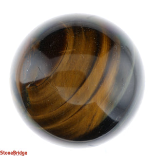 Tiger Eye Sphere - Extra Small #2 - 1 3/4"    from The Rock Space