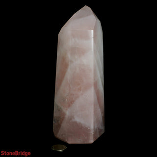 Rose Quartz Generator U#4 - 6 1/2"    from The Rock Space