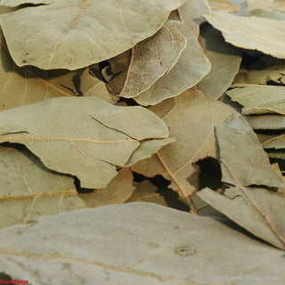 Bay Leaves Whole - Herb Blend    from The Rock Space