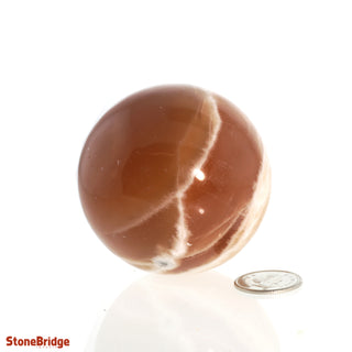 Calcite Honey Sphere - Small #1 - 2 1/4"    from The Rock Space