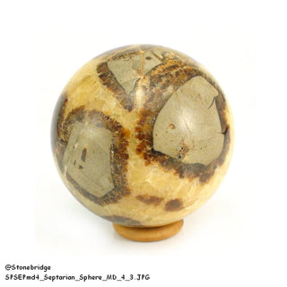 Septarian Sphere Medium #1 - 2 1/2" from Stonebridge Imports