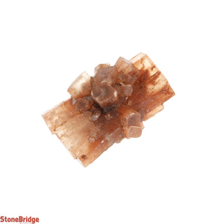 Aragonite Sputnik Cluster - 5 Pack    from The Rock Space