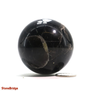 Smoky Quartz Dark Sphere - Extra Small #4 - 2"    from The Rock Space