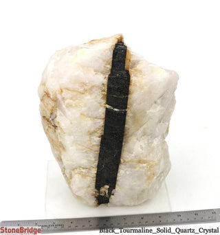 Black Tourmaline on Quartz Matrix U#3    from The Rock Space