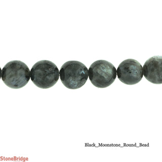 Black Moonstone - Round Strand 15" - 8mm    from The Rock Space