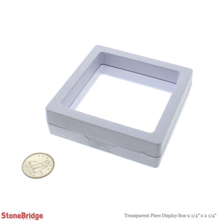 Transparent Piece Display Box - 10 Pack    from The Rock Space