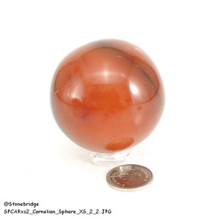 Carnelian Sphere - Extra Small #2 - 1 3/4"    from The Rock Space