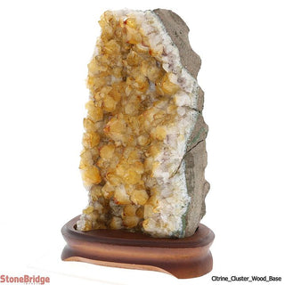 Citrine Cluster On Wood Base Unique #16 - 10" Tall    from The Rock Space