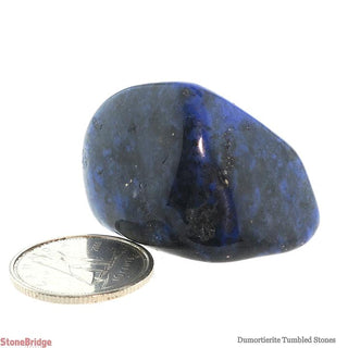 Dumortierite Tumbled Stones from The Rock Space