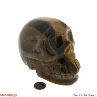 Tiger Eye Skull U#1    from The Rock Space