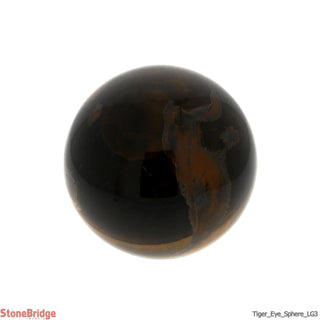 Tiger Eye Sphere - Large #3 - 3 1/4"    from The Rock Space