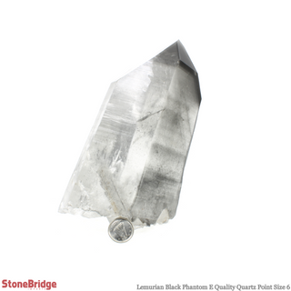 Lemurian Black Phantom Point #6    from Stonebridge Imports