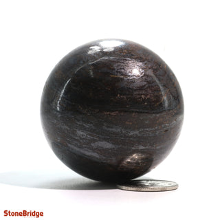 Bronzite Sphere - Extra Small #4 - 2"    from The Rock Space