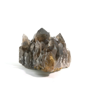 Smoky Quartz Rutilated Cluster U#2    from The Rock Space