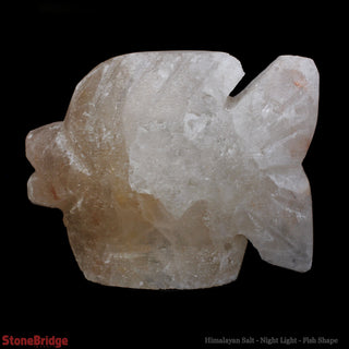 Himalayan Salt Night Light - Fish    from The Rock Space