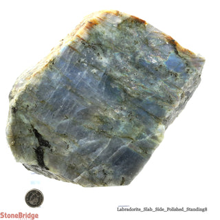 Labradorite Standing Slice Polished U#8 - 6"    from Stonebridge Imports