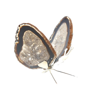 Agate Slice Butterfly